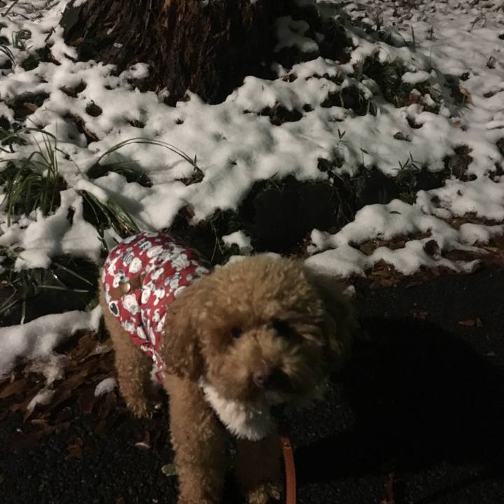 1f9e9b35 ebdd 4e2c 82be fce111223a5a