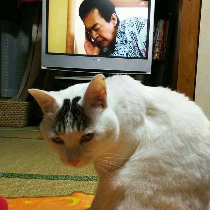 1fa03cbe 58ea 4a32 879d 8a0bafe62522