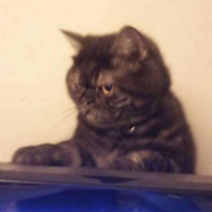 1fa0419a e0f0 4057 8ea5 8535a6f77f04