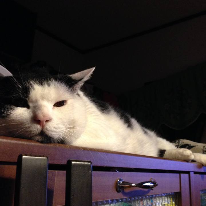 1fa071d6 7f23 4f66 a723 0d1781ceffb0