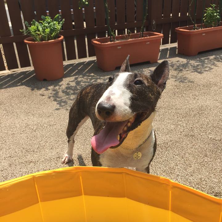 1fa14258 2986 4619 a707 514d08713b5d