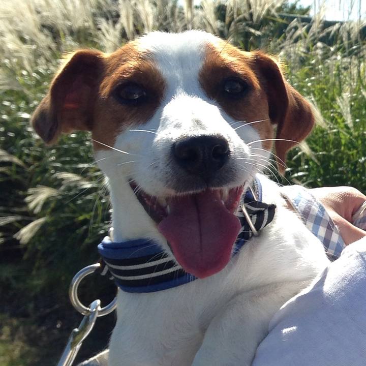 1fa1a44a 9081 4e99 9ea9 ac0893c5b20a