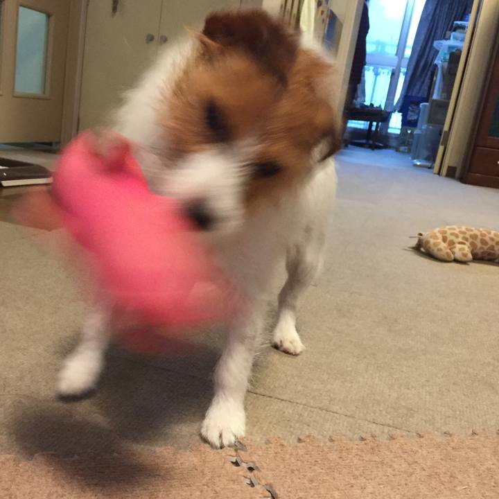 1fa1d46f 8f6f 46ea b053 412f7dbc797d