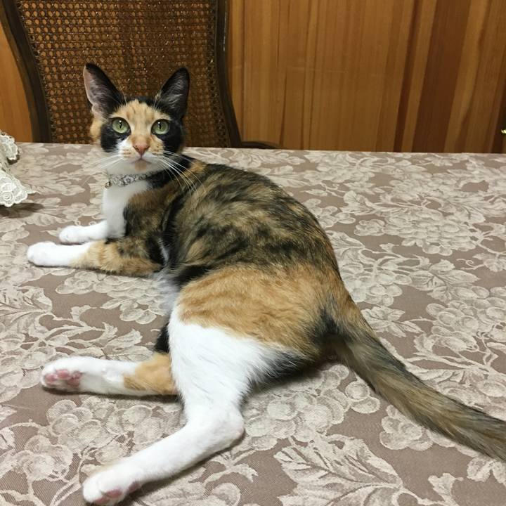 1fa24dc8 2eef 40c1 88ff 4c0195203b79