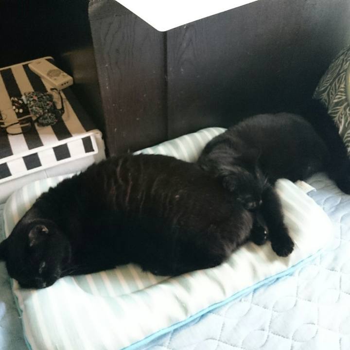 1fa25555 a422 492f 8519 a49f1c4a6f38