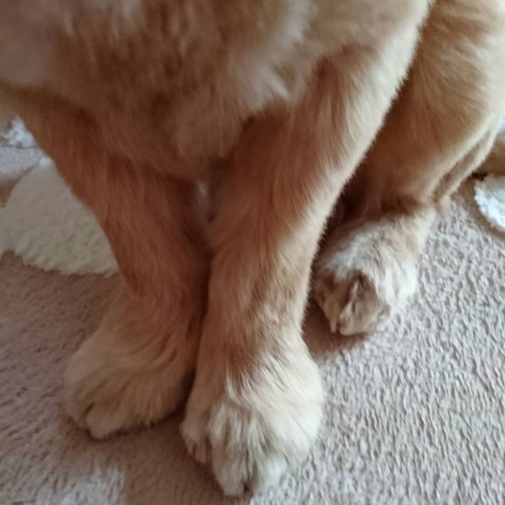 1fa34427 cb3d 4b05 aeb8 a7d1812095fd