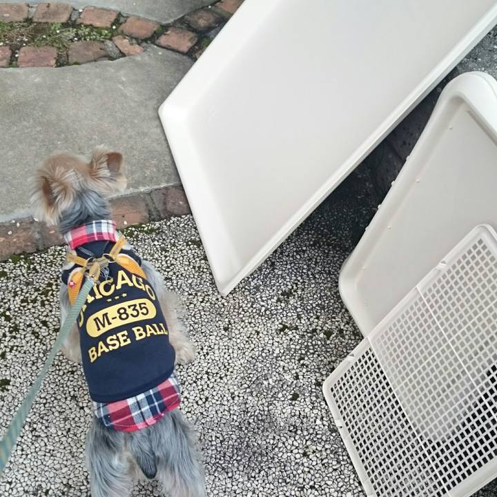 1fa3a0fc 6cae 4e7b b300 dce31872a8a5