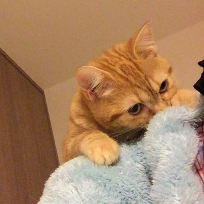 1fa3e929 16df 4b9a 8869 b58aea2e3c2f