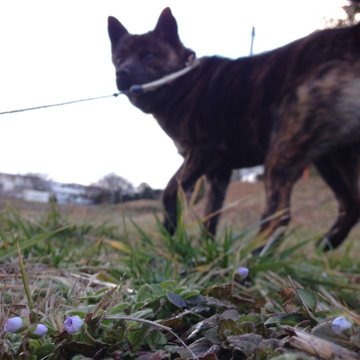 1fa3fc6a 2de9 4824 99a2 5277a27d1393