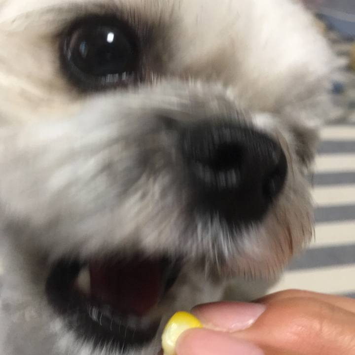 1fa47023 1496 42a3 966e 24f044e7723e