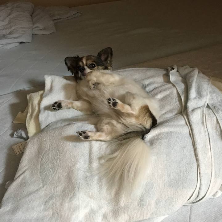 1fa4893e 034e 44cc a7fa 747e975273aa