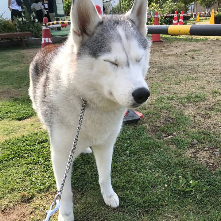 1fa4c8c1 1173 4e42 8f2c 3ded7e93341e