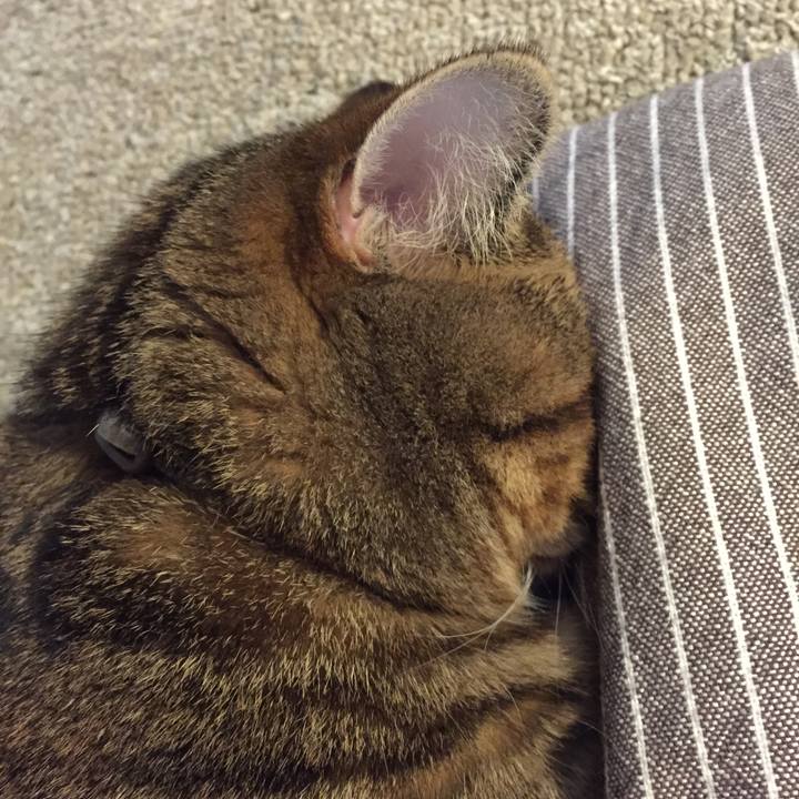 1fa57254 2e22 44ce ab3e a1b54f086087