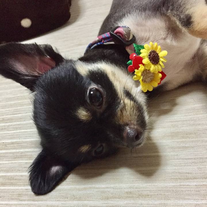 1fa5de19 b683 460c 8833 cf7458f1386c