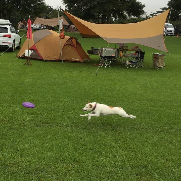 1fa652c1 0805 4b38 be7c 5e4eae0a74bc