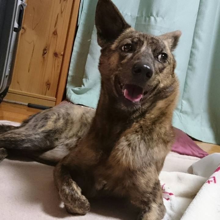 1fa6cfdb a434 4748 ac87 b953890ba602