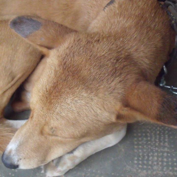 1fa786ee c5be 49a8 9fb8 9cd8e4be58ec