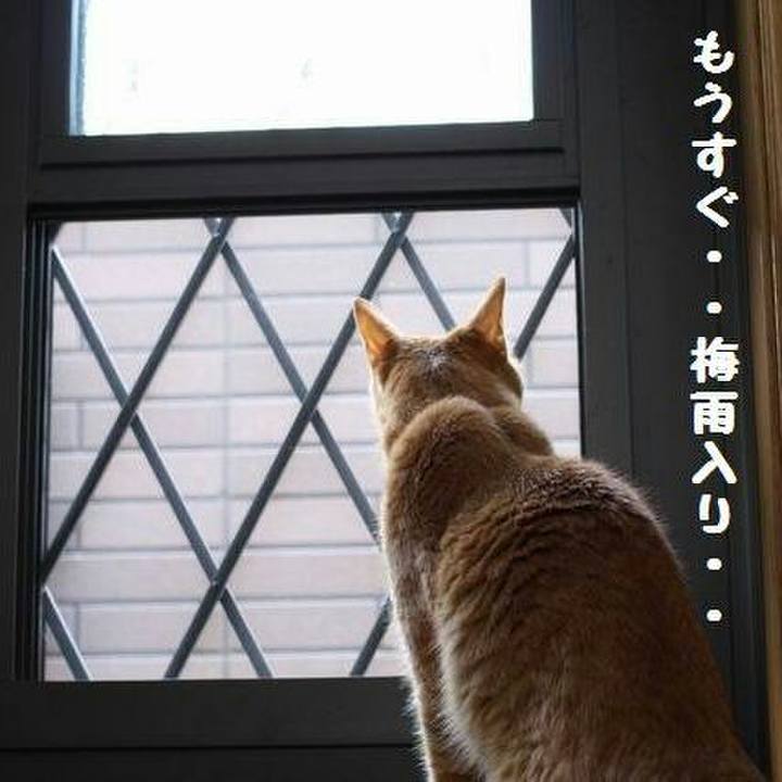 1fa83c8b a0c7 4618 9937 c29bc0204aa1