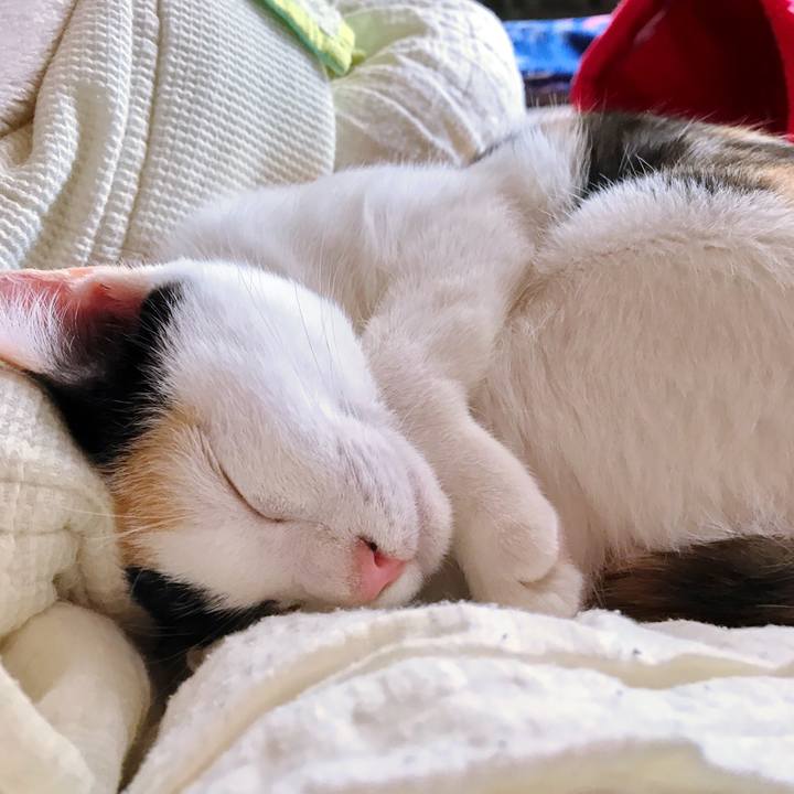 1fa84382 af88 4150 ba2f c2df434e45cc