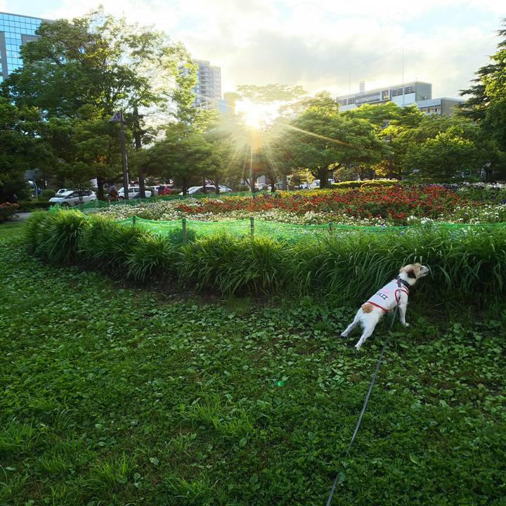 1fa96afb 9403 489d 8179 8370b2096c23