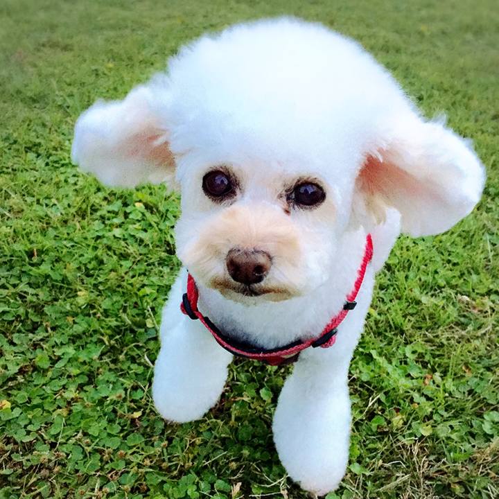 1fa9c226 fdc9 40c5 a71d cd27021e6643