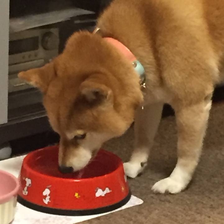 1fa9f2b4 28bc 4bea aef3 25a9bb959160