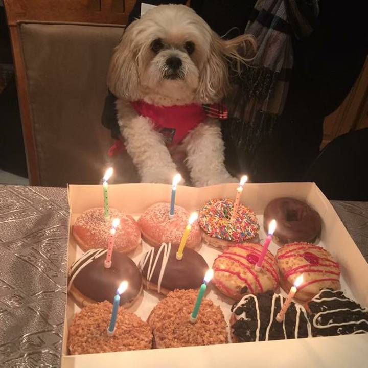 1faa98da 5d44 4c84 aeeb b8e683961e33