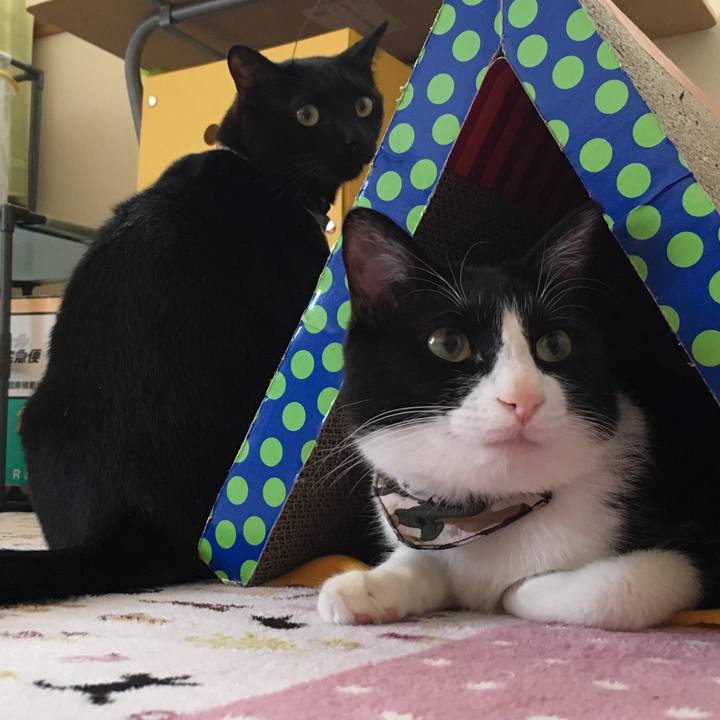 1faaf789 3015 46d1 b8e5 b61b649567f6