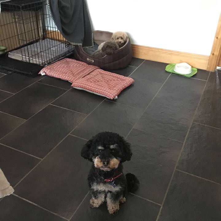 1fabf3cd 2301 4954 aec7 0968cbfe39d9