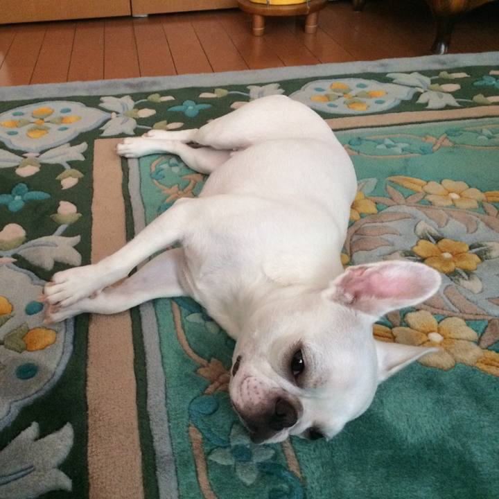 1fac0f85 46a7 48bb ab42 4deed0b19a66