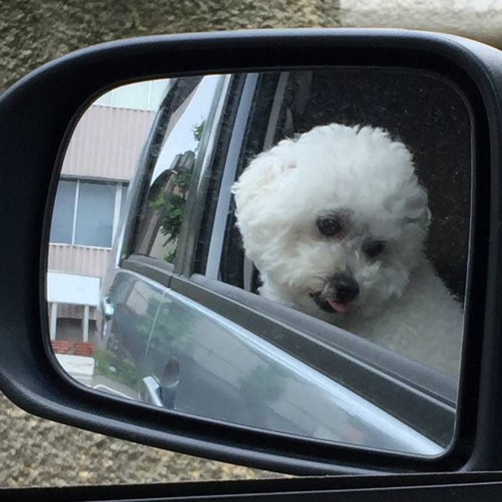 1fac76dc 50ad 4033 8c82 8d41aef46824