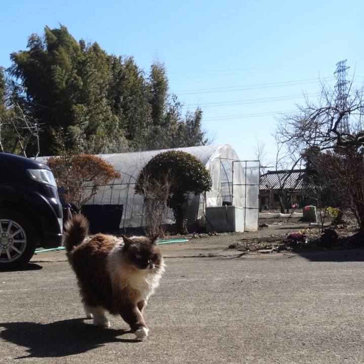 1fad5b3c 1543 463d a3a0 4e3ebc185efe