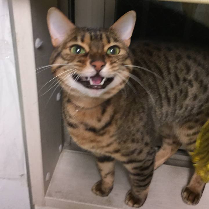 1fadf3d4 f0a7 40a7 8413 ad5a52f80ab5