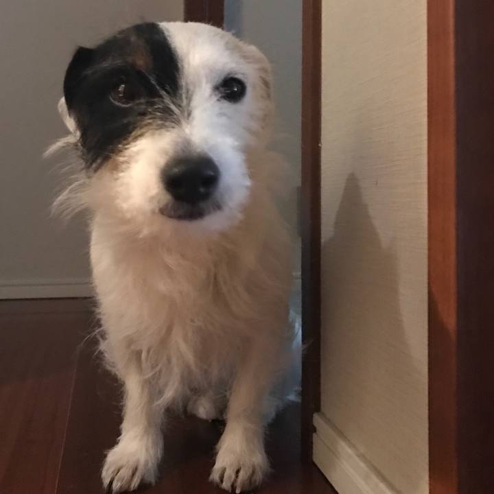 1fae0f14 ca1a 406f 9cfd de0699d7d78c