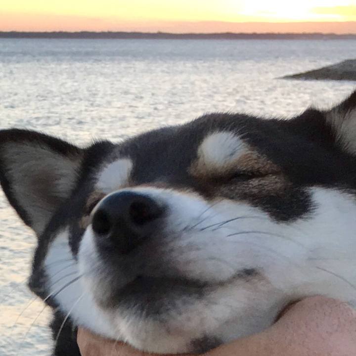 1fae9e12 0927 44b1 8b99 5f145842849d