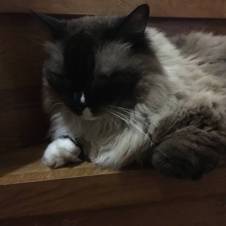 1faeaaad da2d 42d8 8477 f772fc0bf891