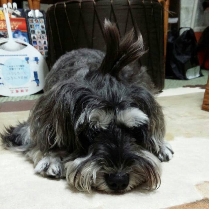 1faed611 c50c 4c0b aaee 4ed2f93ab84f