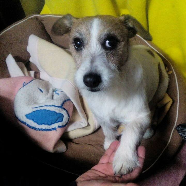 1faf73d2 f768 4c41 98db f665c5431bb8