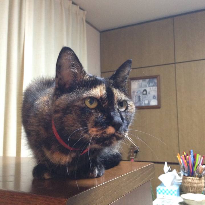 1faff6b3 cbec 44aa 9ad2 509138a33db7