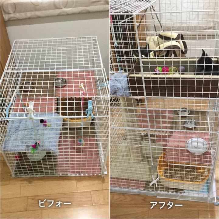 1fb0369a d562 486a 90ce a88058c1e904