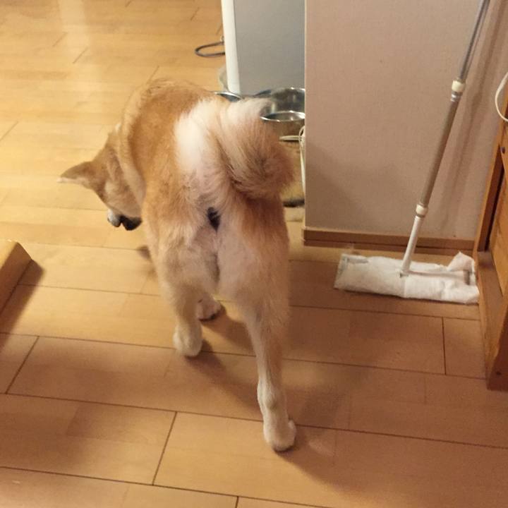 1fb0adeb 0931 4f71 a10d 5b33cad0e778