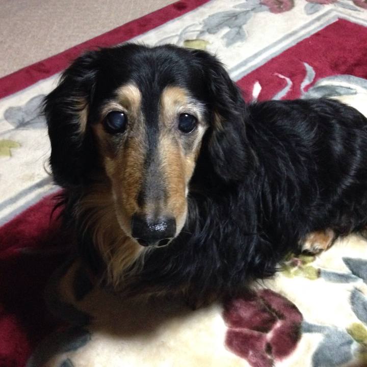 1fb1323c cfeb 44a0 9b04 3f5e72069311