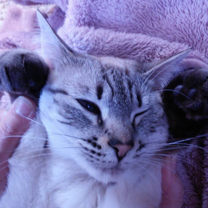 1fb17f82 b6c8 48f2 adea b25ffb39399d