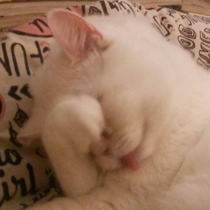 1fb19116 ed8b 4229 b967 621c0c1f499a