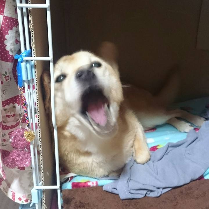 1fb24336 cc1b 4434 a1a6 801d2d6b4679