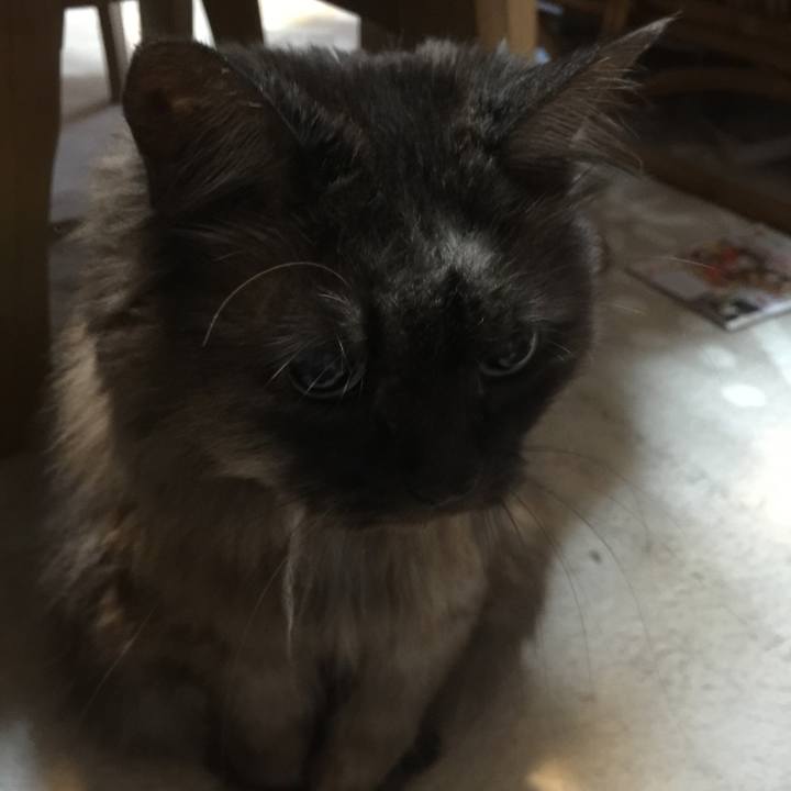 1fb28c53 9fb9 4705 b4d8 339f77a16db0