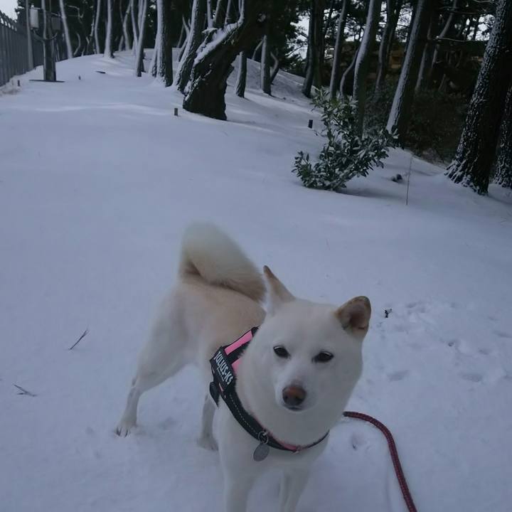 1fb2a1e0 16f4 462e 8740 bb8afdc7be93