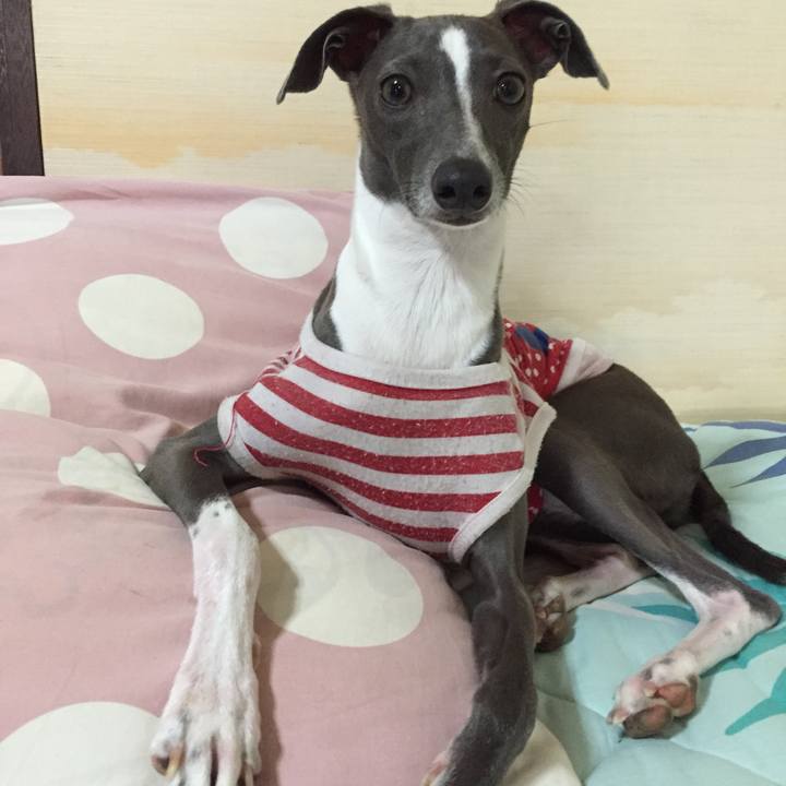 1fb2c33d f416 419c ba99 4f806d80dd88