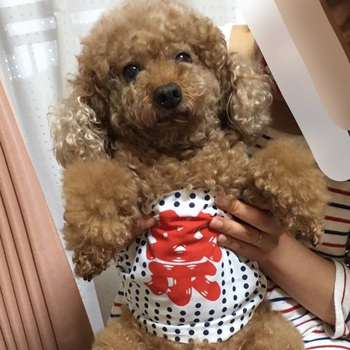 1fb3bede 45f7 4f61 ad7d af4de44e1dee