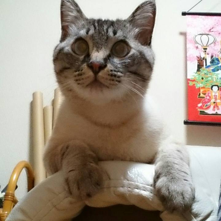 1fb421cb ec78 4c89 b063 b6f1468f140b